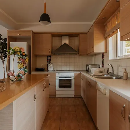 Elia House Villa *